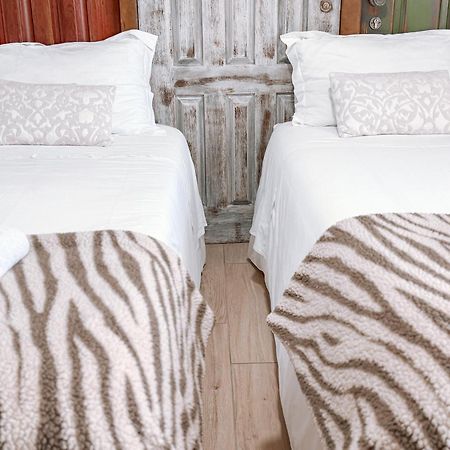 Ninho D'Arara Bed and Breakfast Tondela Eksteriør billede