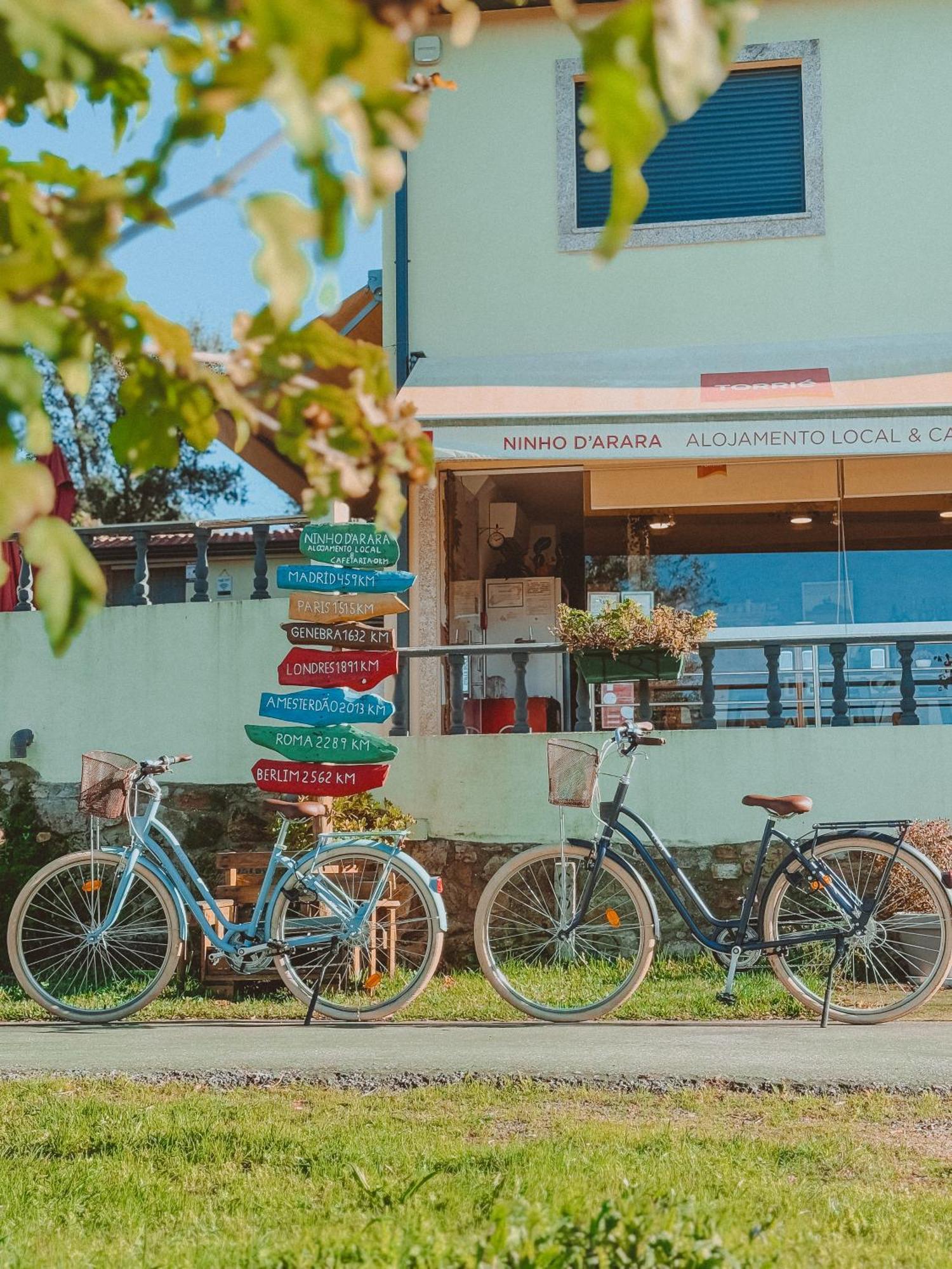 Ninho D'Arara Bed and Breakfast Tondela Eksteriør billede